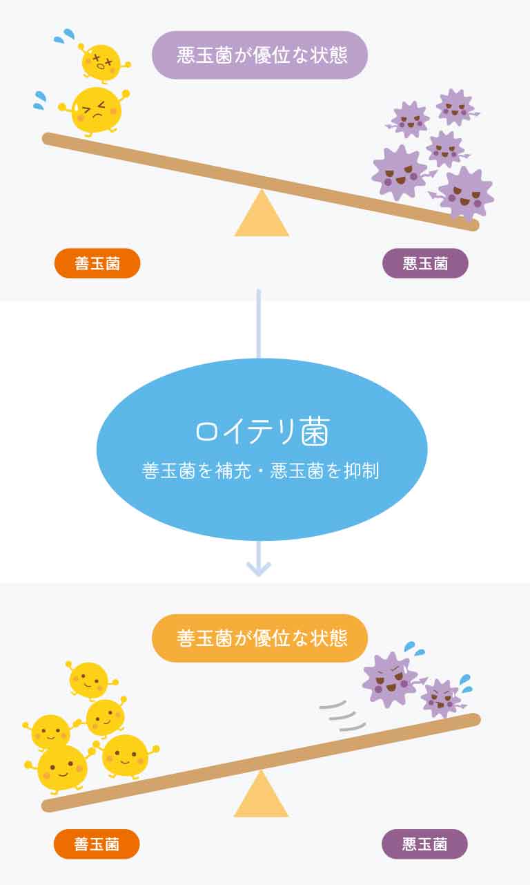 バクテリアセラピーとは