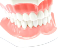 tooth_contacting_habit_02